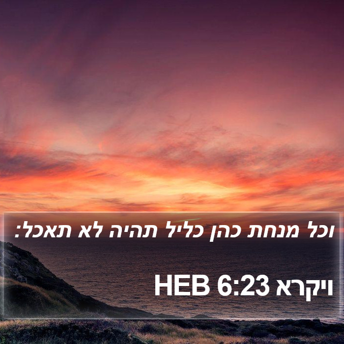 ויקרא 6:23 HEB Bible Study