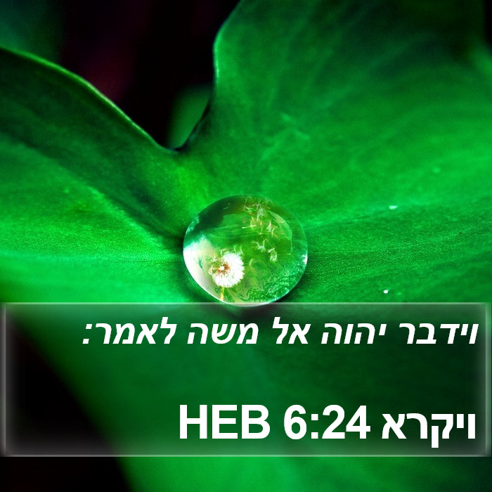 ויקרא 6:24 HEB Bible Study