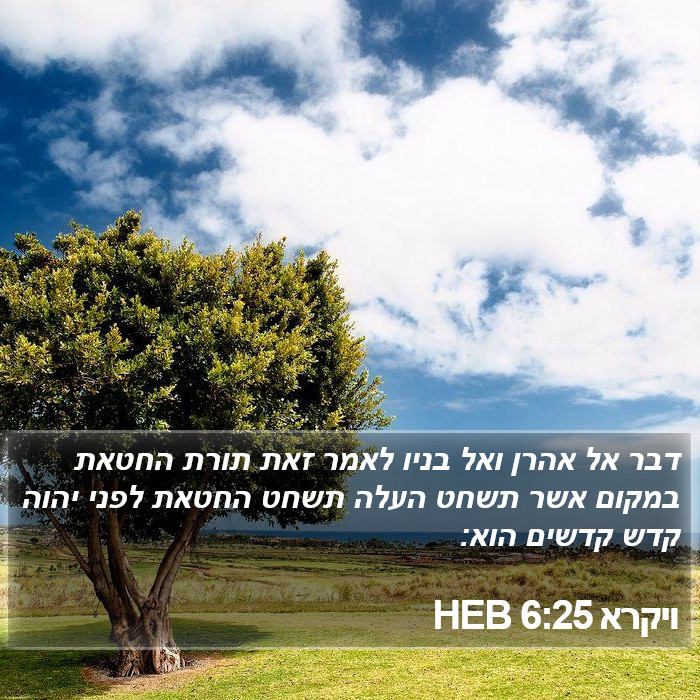 ויקרא 6:25 HEB Bible Study