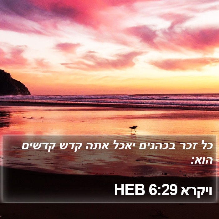 ויקרא 6:29 HEB Bible Study