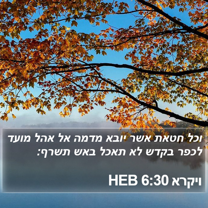 ויקרא 6:30 HEB Bible Study