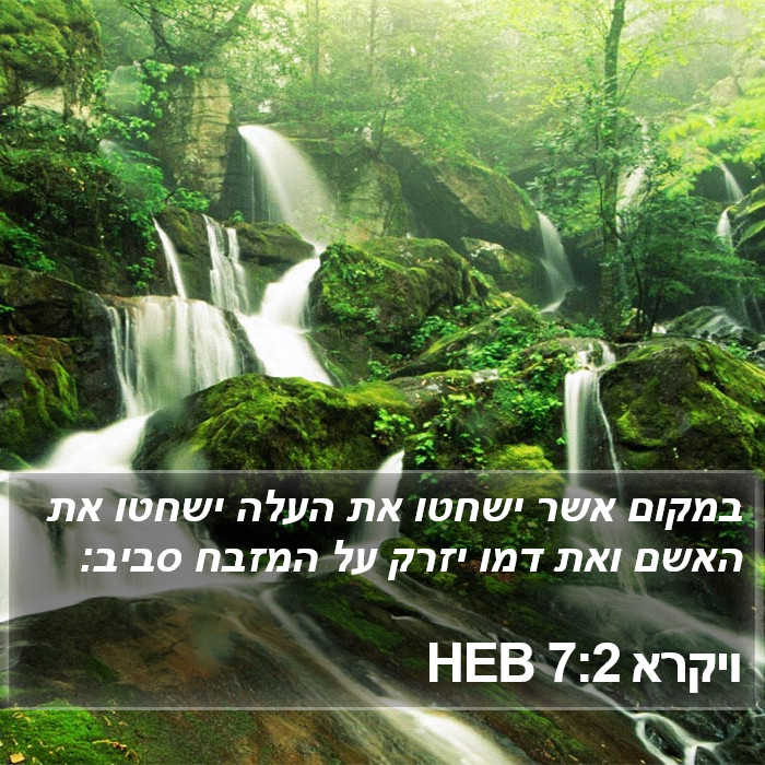 ויקרא 7:2 HEB Bible Study