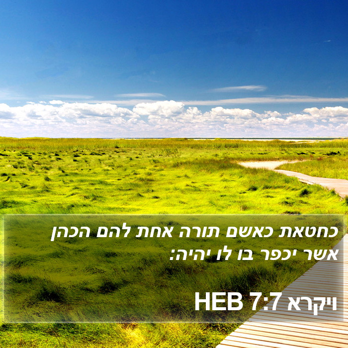 ויקרא 7:7 HEB Bible Study