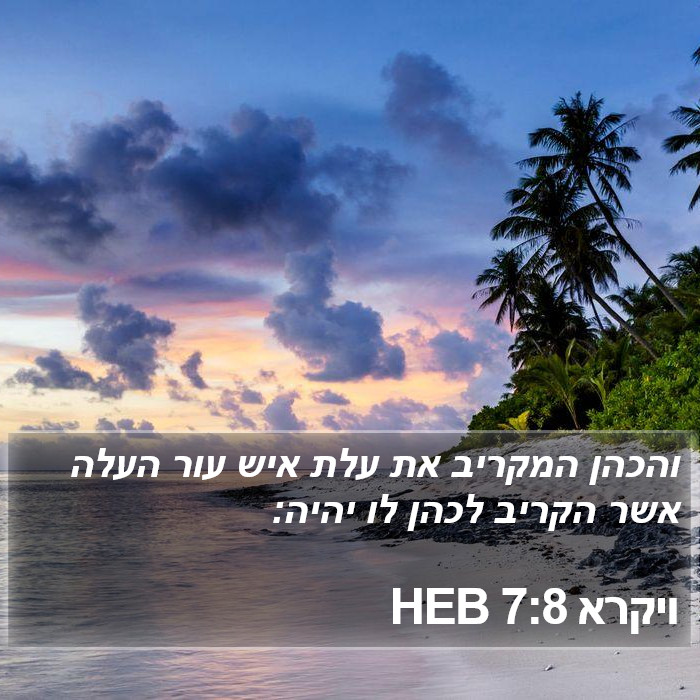 ויקרא 7:8 HEB Bible Study