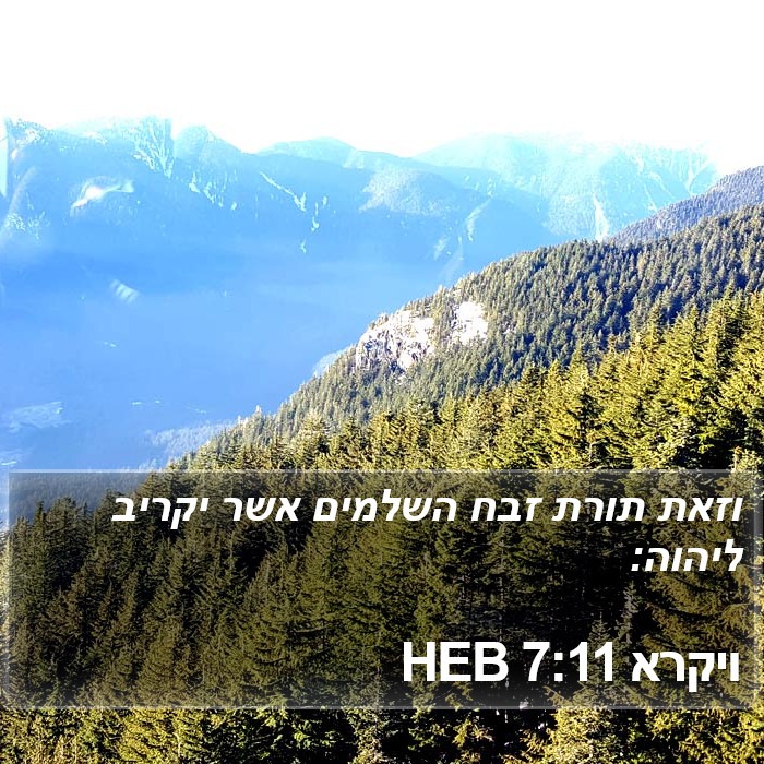 ויקרא 7:11 HEB Bible Study