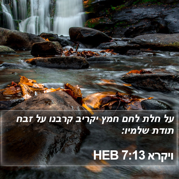 ויקרא 7:13 HEB Bible Study