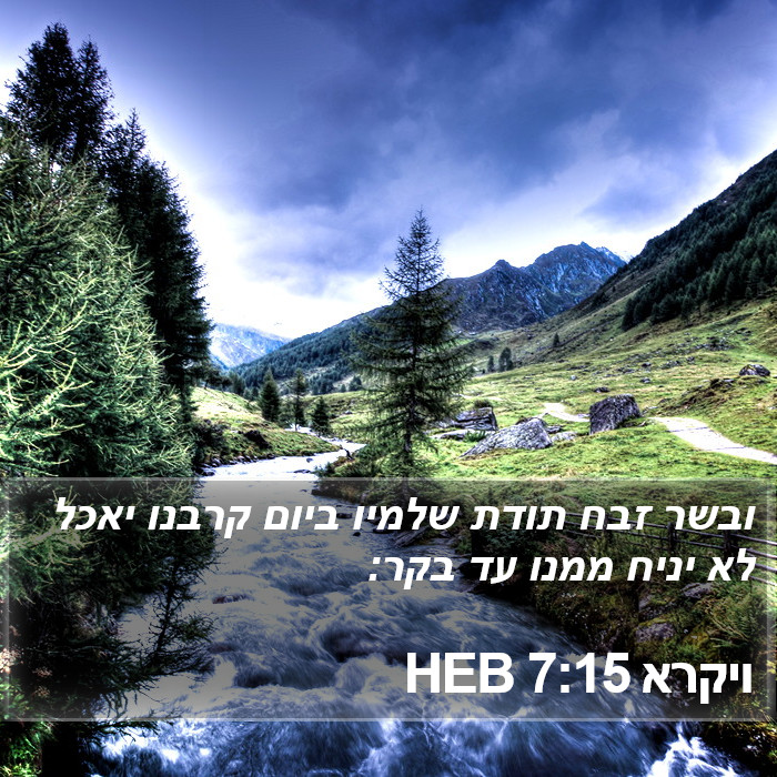 ויקרא 7:15 HEB Bible Study