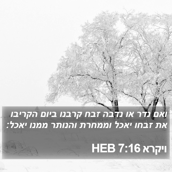 ויקרא 7:16 HEB Bible Study