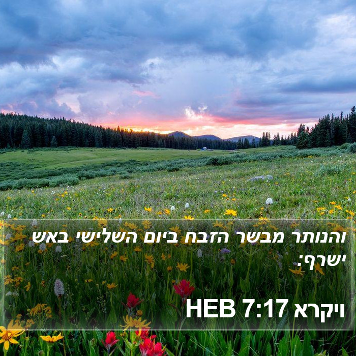 ויקרא 7:17 HEB Bible Study