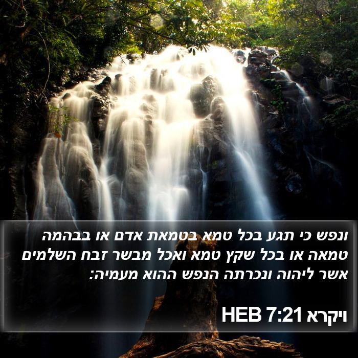 ויקרא 7:21 HEB Bible Study