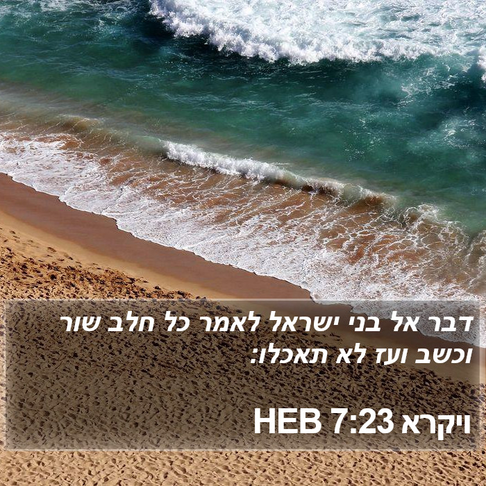 ויקרא 7:23 HEB Bible Study