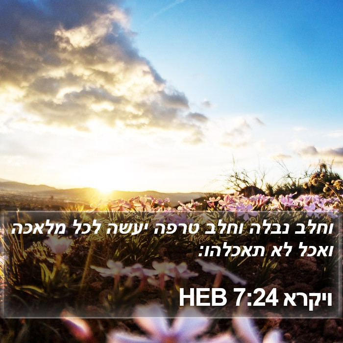 ויקרא 7:24 HEB Bible Study