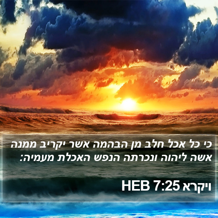 ויקרא 7:25 HEB Bible Study