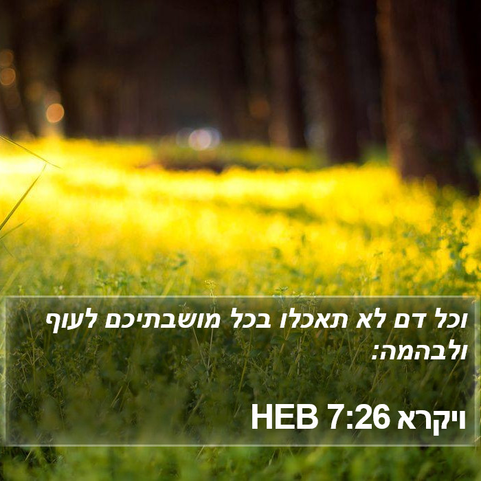 ויקרא 7:26 HEB Bible Study