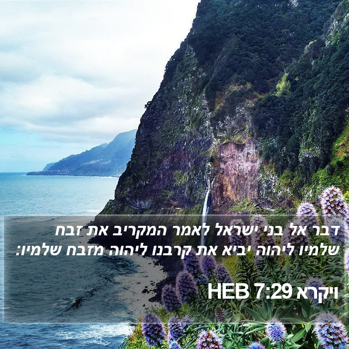 ויקרא 7:29 HEB Bible Study