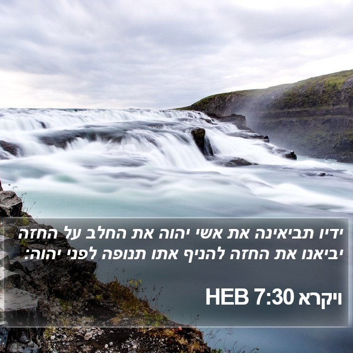 ויקרא 7:30 HEB Bible Study