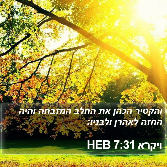 ויקרא 7:31 HEB Bible Study