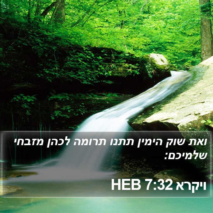 ויקרא 7:32 HEB Bible Study