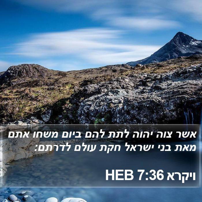 ויקרא 7:36 HEB Bible Study