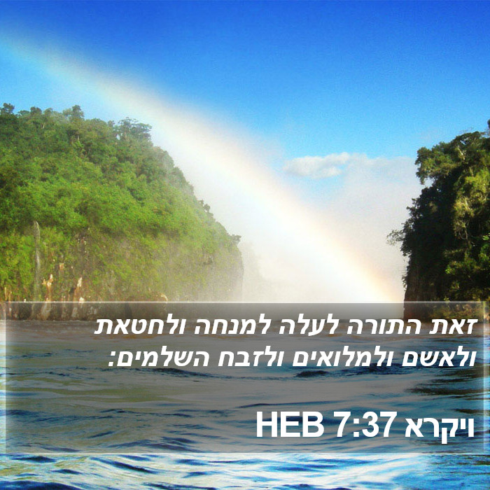 ויקרא 7:37 HEB Bible Study