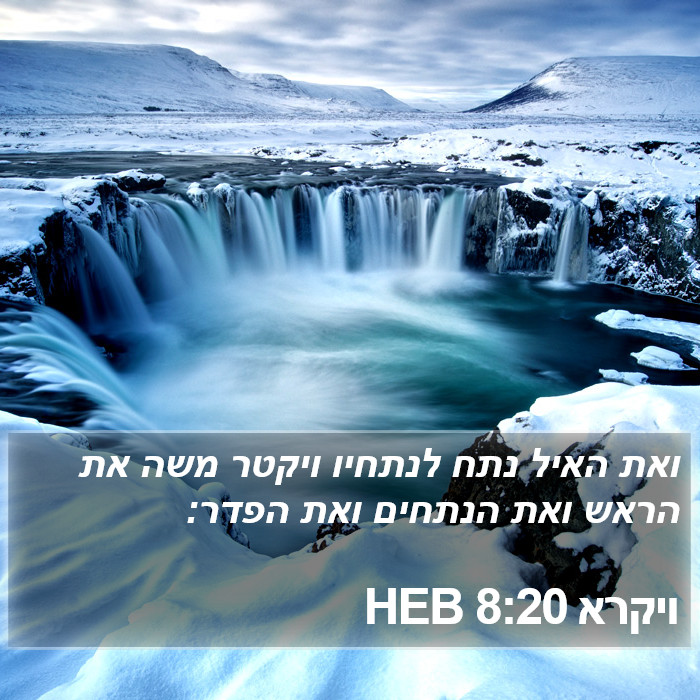 ויקרא 8:20 HEB Bible Study