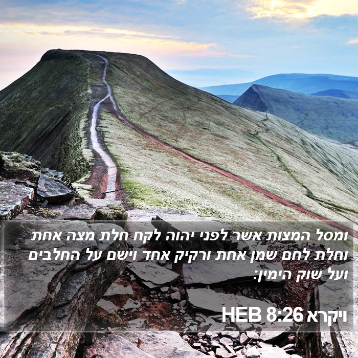 ויקרא 8:26 HEB Bible Study