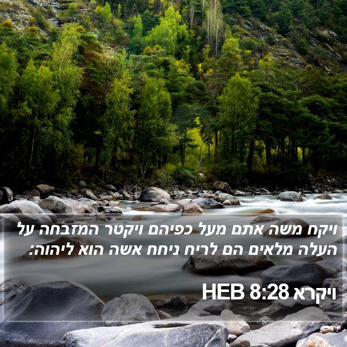 ויקרא 8:28 HEB Bible Study