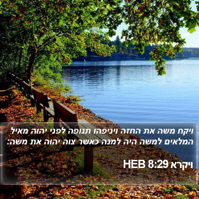 ויקרא 8:29 HEB Bible Study