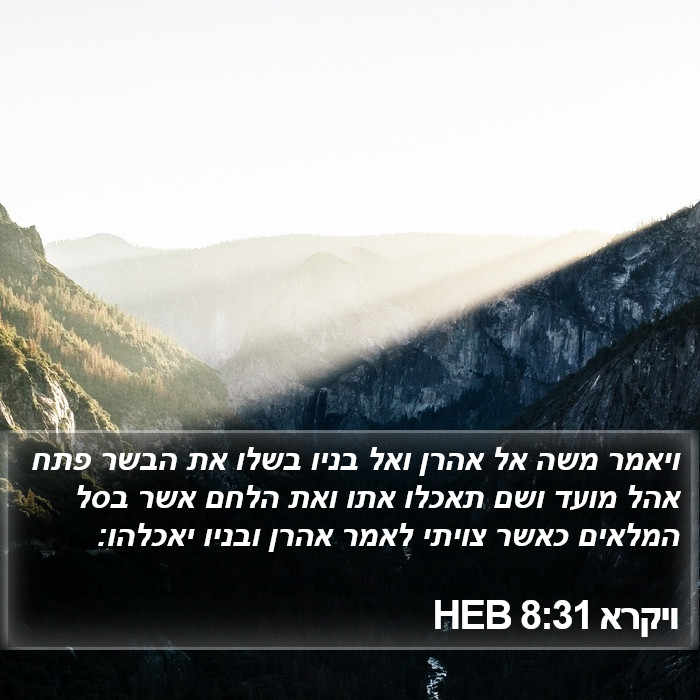 ויקרא 8:31 HEB Bible Study