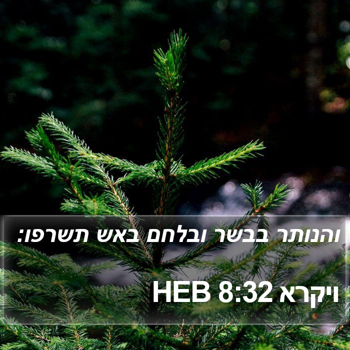 ויקרא 8:32 HEB Bible Study