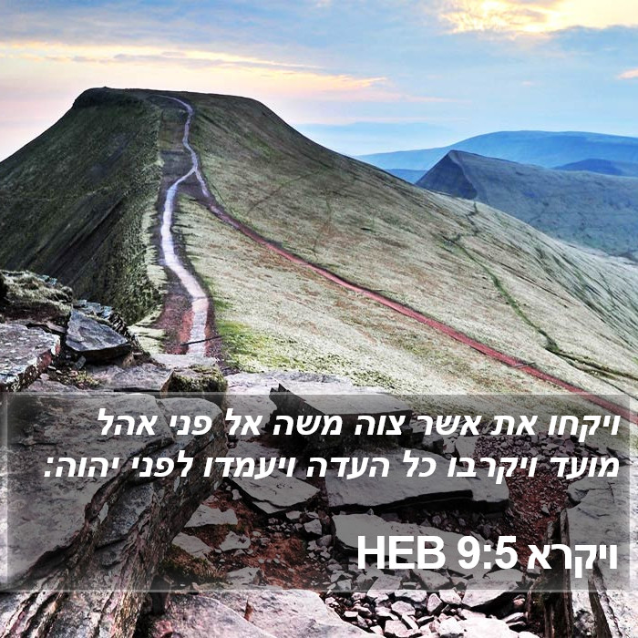 ויקרא 9:5 HEB Bible Study