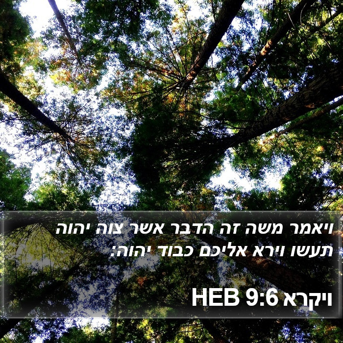 ויקרא 9:6 HEB Bible Study