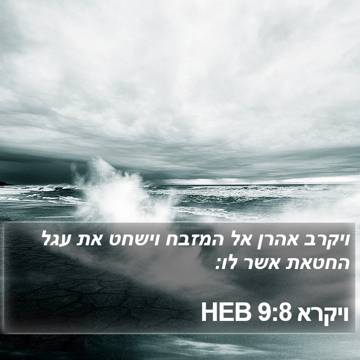 ויקרא 9:8 HEB Bible Study