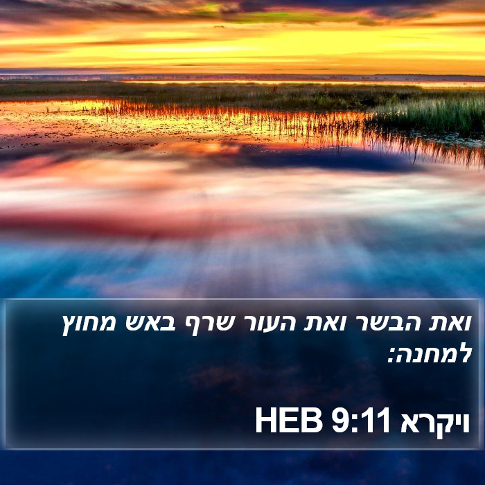 ויקרא 9:11 HEB Bible Study