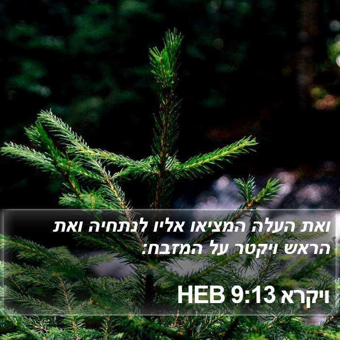 ויקרא 9:13 HEB Bible Study