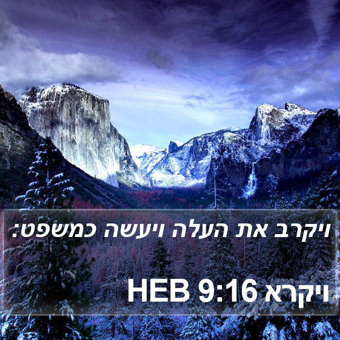 ויקרא 9:16 HEB Bible Study