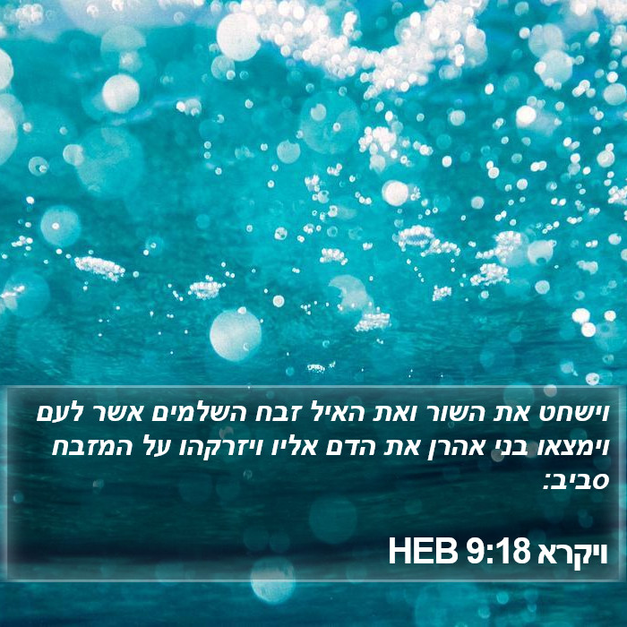 ויקרא 9:18 HEB Bible Study