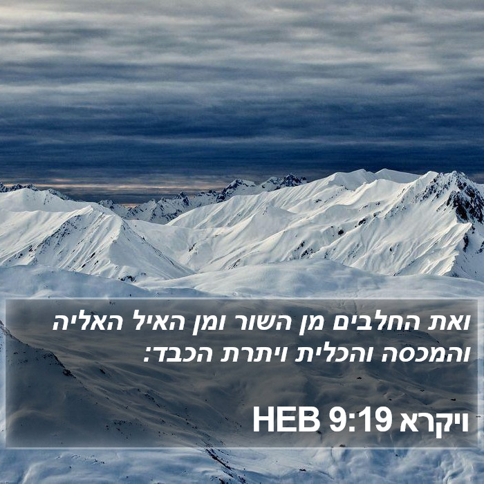 ויקרא 9:19 HEB Bible Study