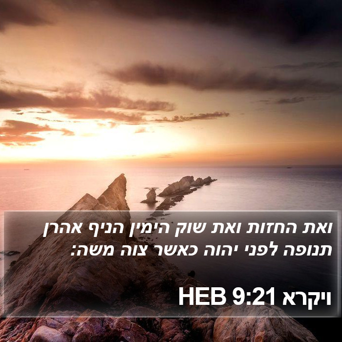 ויקרא 9:21 HEB Bible Study