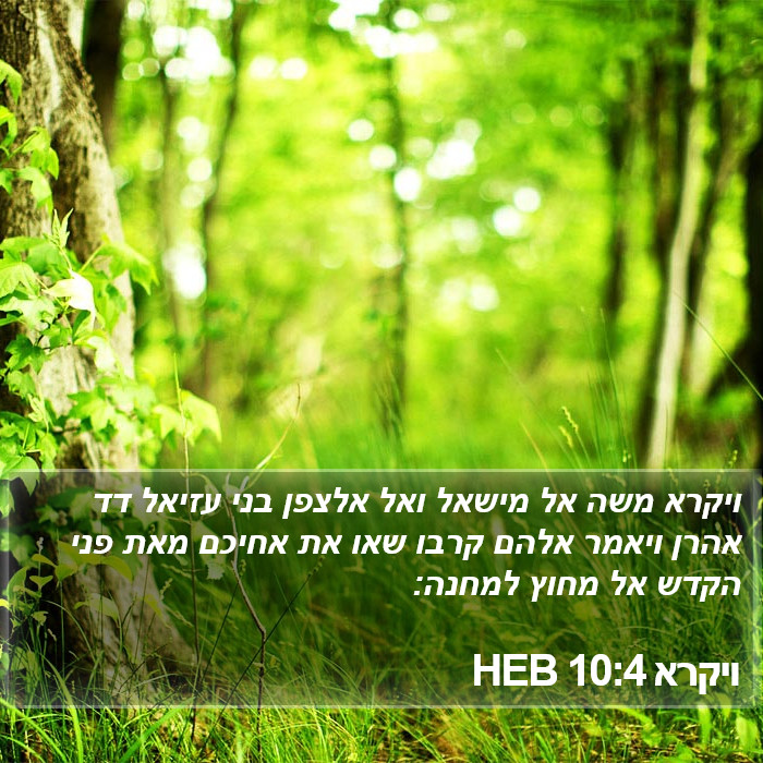 ויקרא 10:4 HEB Bible Study