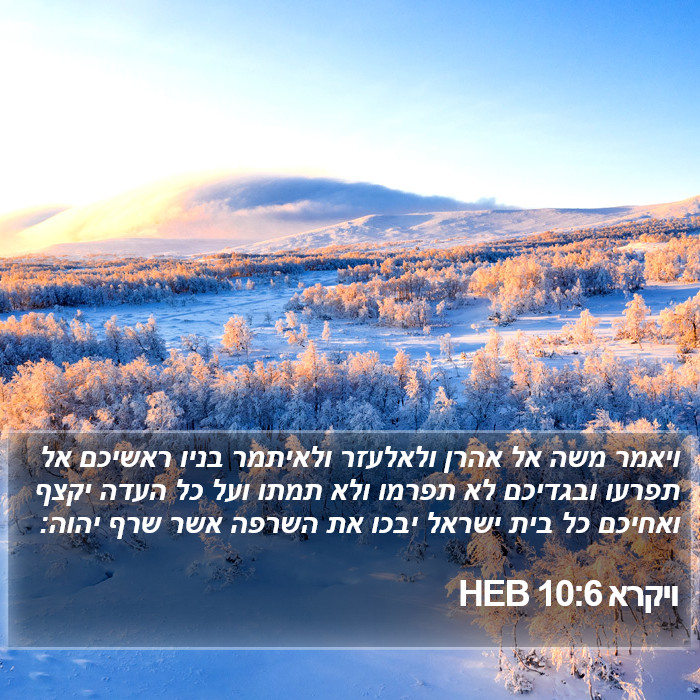 ויקרא 10:6 HEB Bible Study