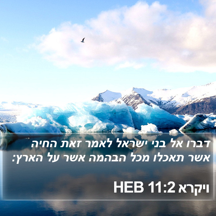 ויקרא 11:2 HEB Bible Study