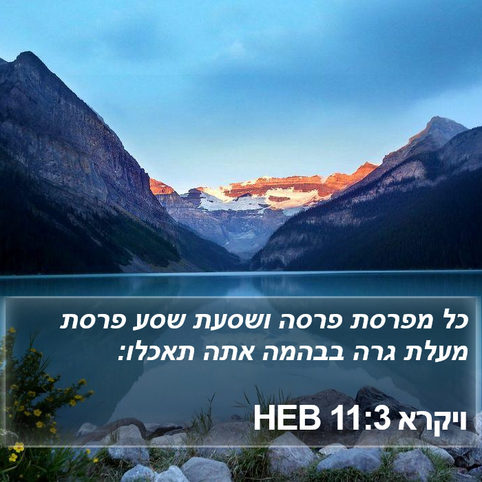 ויקרא 11:3 HEB Bible Study