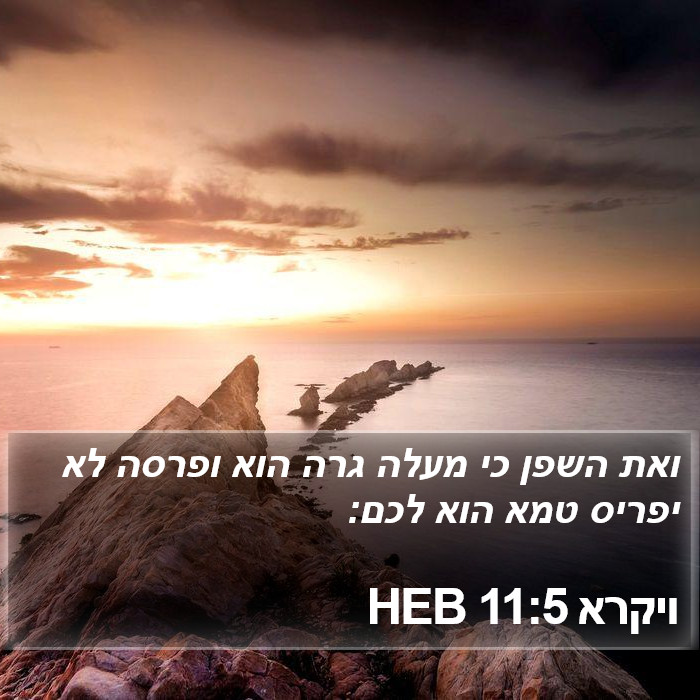 ויקרא 11:5 HEB Bible Study