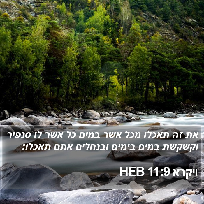 ויקרא 11:9 HEB Bible Study