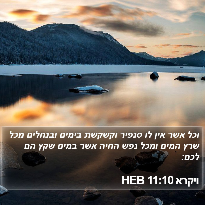 ויקרא 11:10 HEB Bible Study