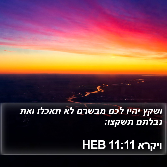 ויקרא 11:11 HEB Bible Study