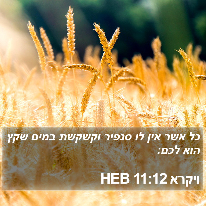 ויקרא 11:12 HEB Bible Study