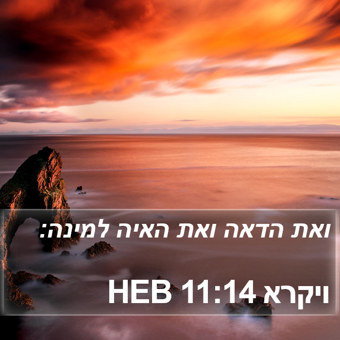 ויקרא 11:14 HEB Bible Study