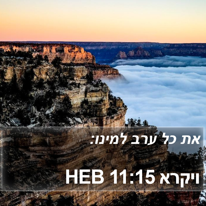 ויקרא 11:15 HEB Bible Study